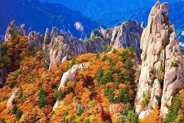 설악산